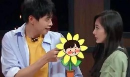 魏大勋杨幂最新现实爆料,娱乐圈背后的真实故事