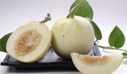 吃甜瓜最新事件爆料,揭秘幕后真相与公众反响