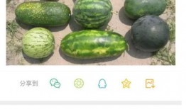 新瓜爆料最新,娱乐圈惊天大事件，真相即将揭晓！