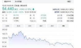 中概股最新消息爆料,揭秘市场热点与投资风向