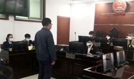 武汉汉南区爆料案件最新,真相渐明，疑云散去